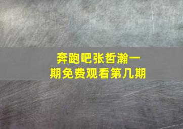 奔跑吧张哲瀚一期免费观看第几期