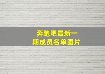 奔跑吧最新一期成员名单图片