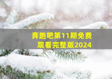 奔跑吧第11期免费观看完整版2024