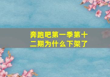 奔跑吧第一季第十二期为什么下架了