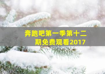 奔跑吧第一季第十二期免费观看2017