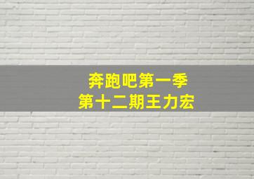 奔跑吧第一季第十二期王力宏