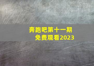 奔跑吧第十一期免费观看2023