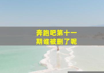 奔跑吧第十一期谁被删了呢