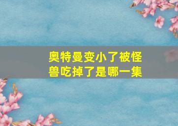 奥特曼变小了被怪兽吃掉了是哪一集