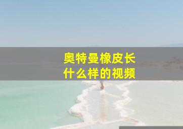 奥特曼橡皮长什么样的视频