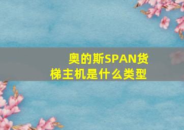 奥的斯SPAN货梯主机是什么类型