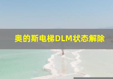 奥的斯电梯DLM状态解除