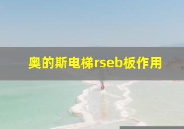 奥的斯电梯rseb板作用