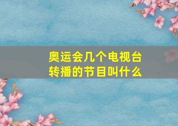 奥运会几个电视台转播的节目叫什么