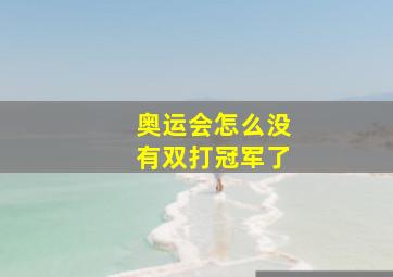 奥运会怎么没有双打冠军了