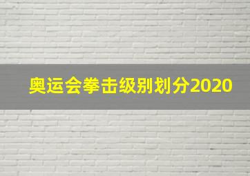 奥运会拳击级别划分2020