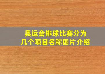 奥运会排球比赛分为几个项目名称图片介绍