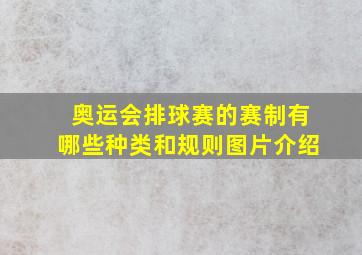 奥运会排球赛的赛制有哪些种类和规则图片介绍