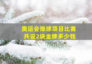 奥运会排球项目比赛共设2块金牌多少钱