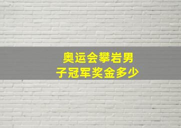 奥运会攀岩男子冠军奖金多少