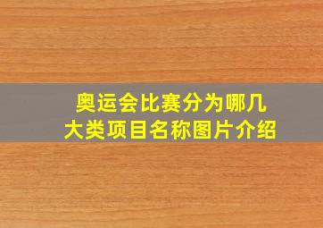 奥运会比赛分为哪几大类项目名称图片介绍