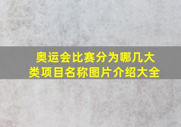 奥运会比赛分为哪几大类项目名称图片介绍大全