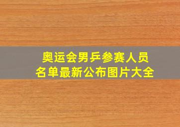 奥运会男乒参赛人员名单最新公布图片大全