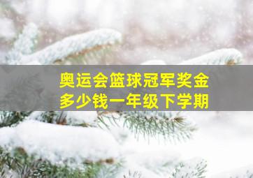 奥运会篮球冠军奖金多少钱一年级下学期