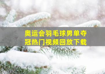 奥运会羽毛球男单夺冠热门视频回放下载