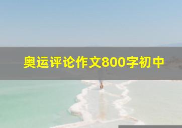 奥运评论作文800字初中