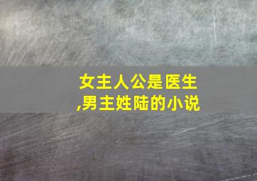 女主人公是医生,男主姓陆的小说