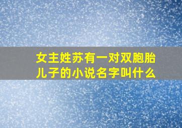 女主姓苏有一对双胞胎儿子的小说名字叫什么