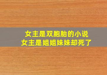 女主是双胞胎的小说女主是姐姐妹妹却死了