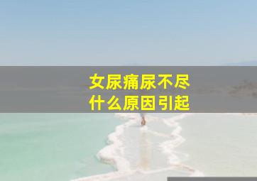 女尿痛尿不尽什么原因引起