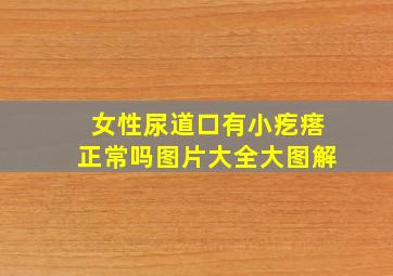 女性尿道口有小疙瘩正常吗图片大全大图解