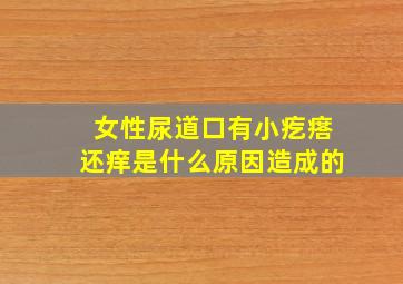 女性尿道口有小疙瘩还痒是什么原因造成的