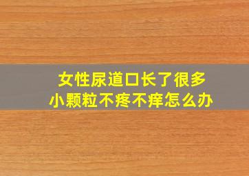 女性尿道口长了很多小颗粒不疼不痒怎么办