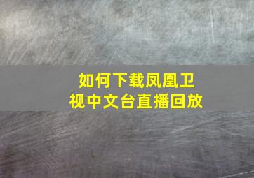 如何下载凤凰卫视中文台直播回放