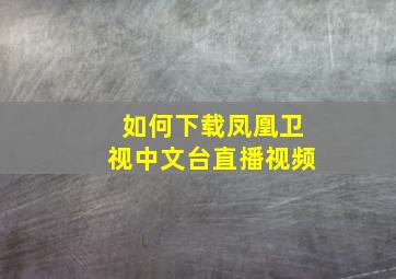 如何下载凤凰卫视中文台直播视频