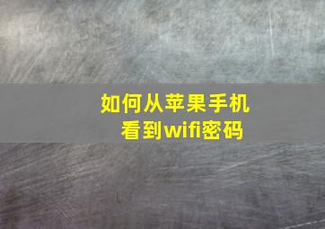 如何从苹果手机看到wifi密码