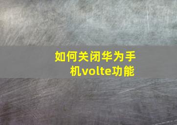 如何关闭华为手机volte功能