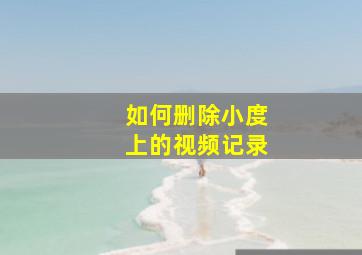 如何删除小度上的视频记录