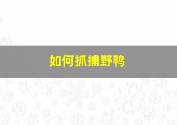 如何抓捕野鸭