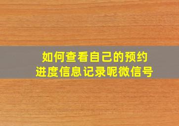 如何查看自己的预约进度信息记录呢微信号