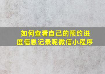 如何查看自己的预约进度信息记录呢微信小程序