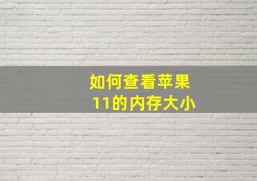 如何查看苹果11的内存大小