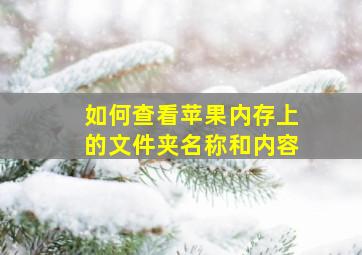 如何查看苹果内存上的文件夹名称和内容