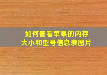 如何查看苹果的内存大小和型号信息表图片