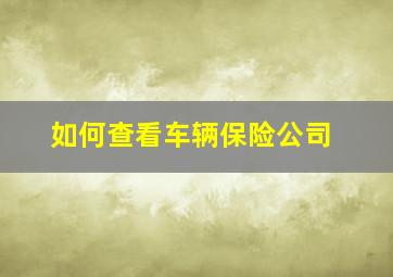 如何查看车辆保险公司