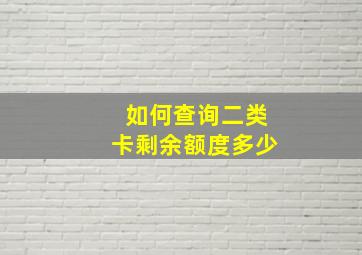 如何查询二类卡剩余额度多少