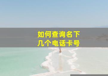 如何查询名下几个电话卡号