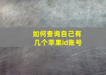 如何查询自己有几个苹果id账号