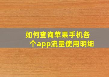 如何查询苹果手机各个app流量使用明细