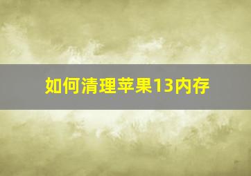 如何清理苹果13内存